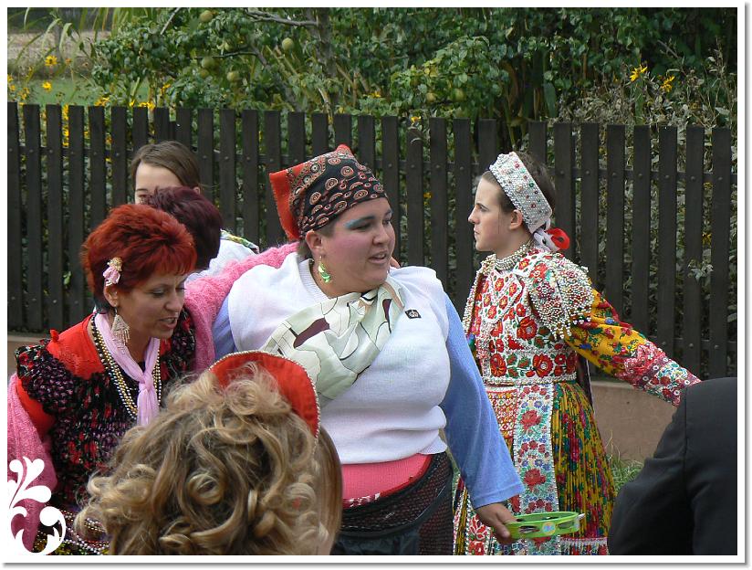 Szuret Felv es Bal_105